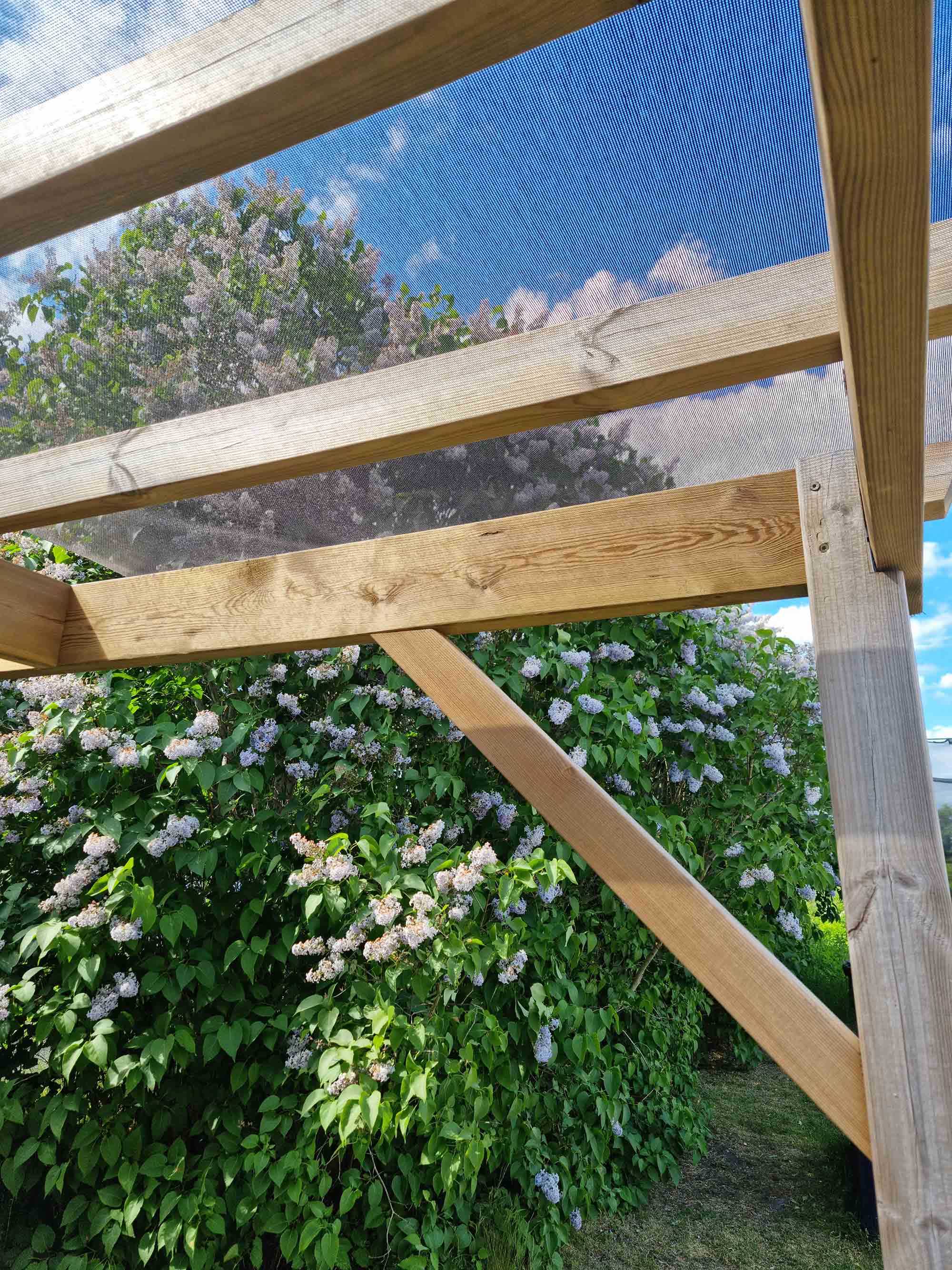 plank, staket, trä