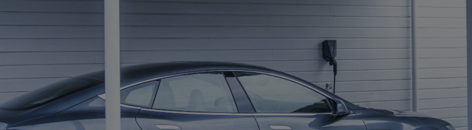 ladda bilen hemma