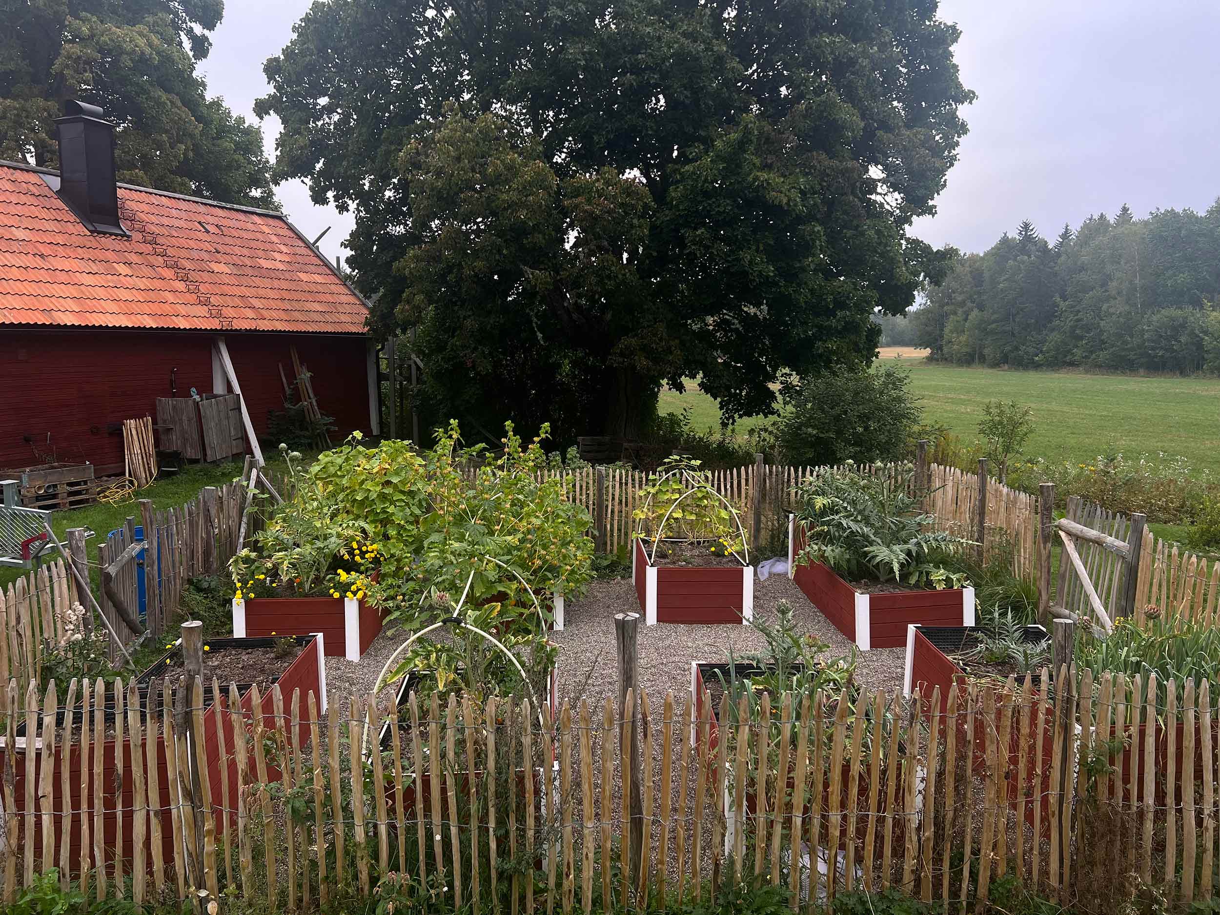 Trädgårdsland med pallkragar