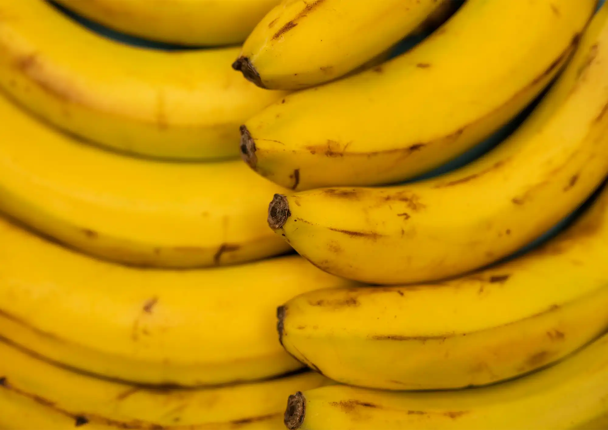 Flera bananer