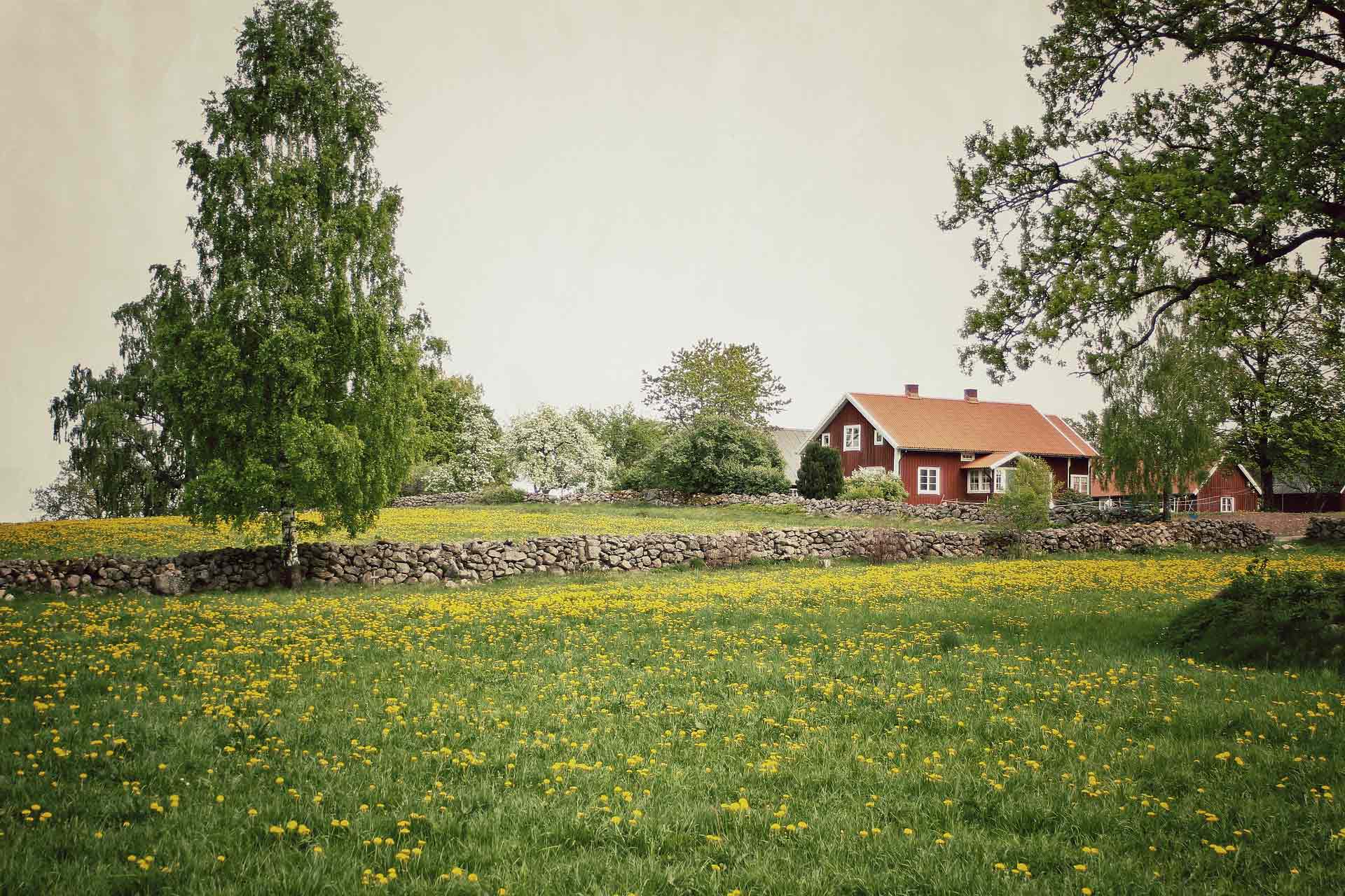 Rött hus på äng