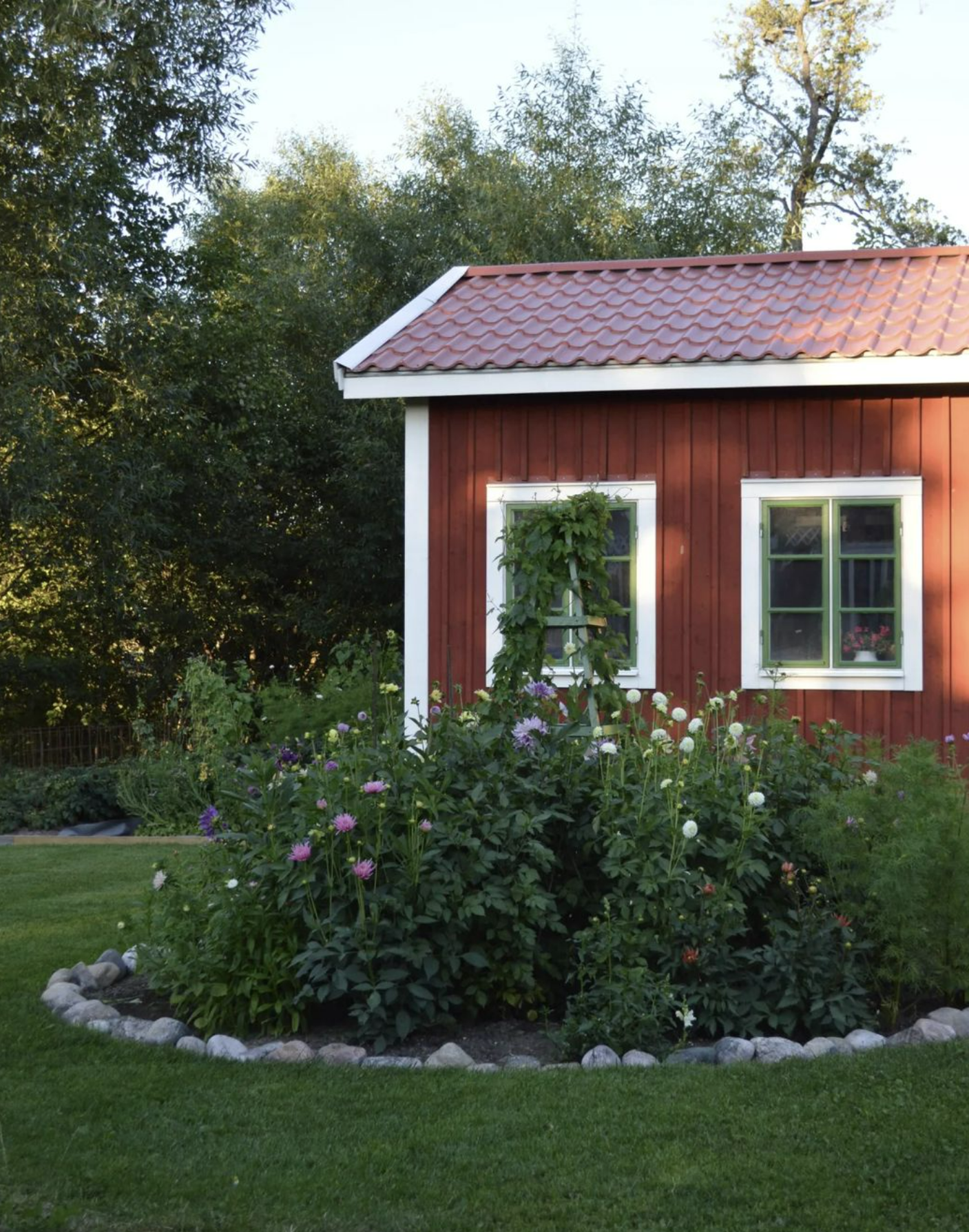 Framsida trädgård