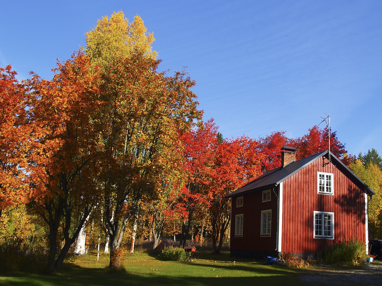 höstdag, villa, träd med orangea blad