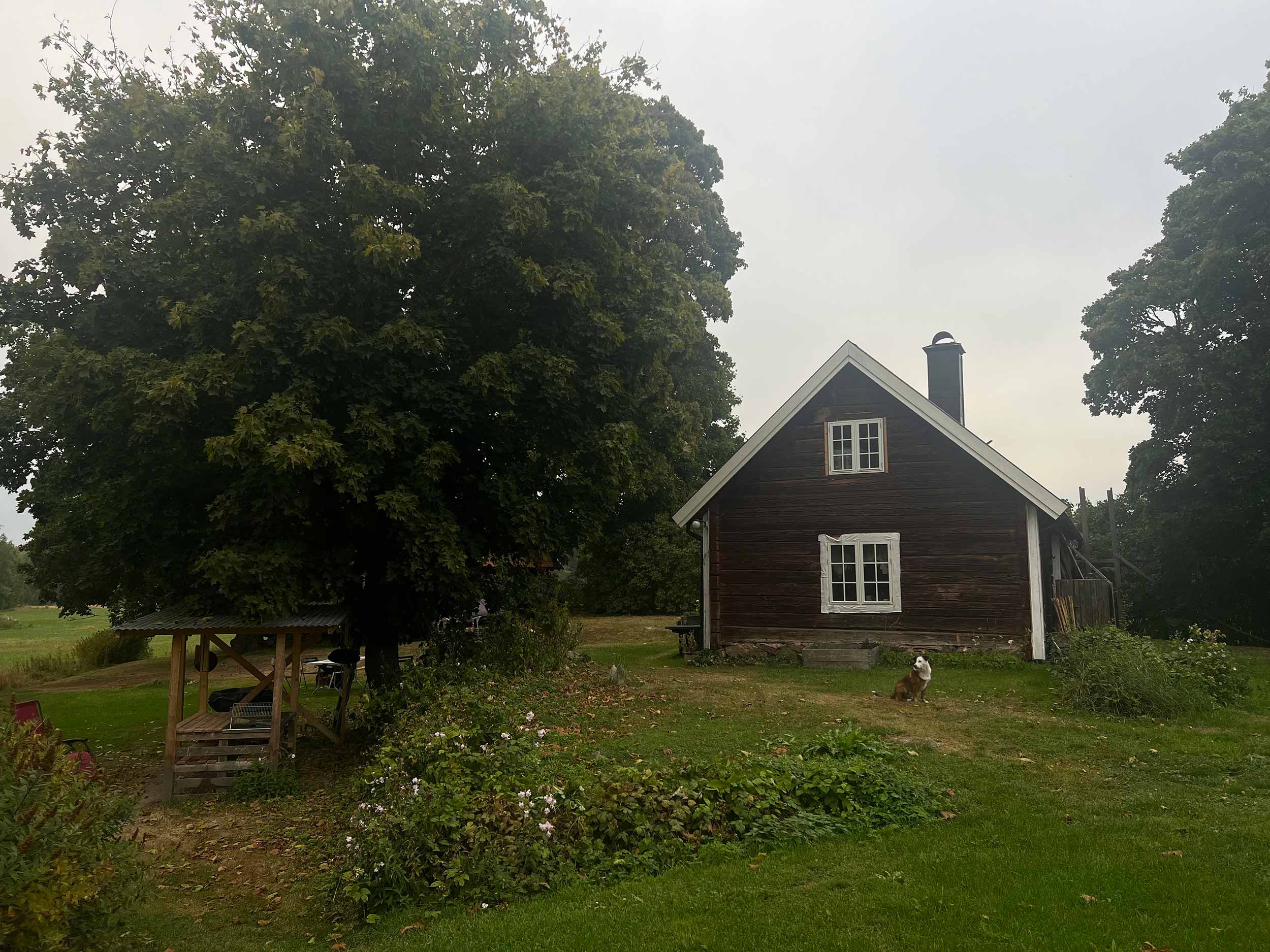 Torp
