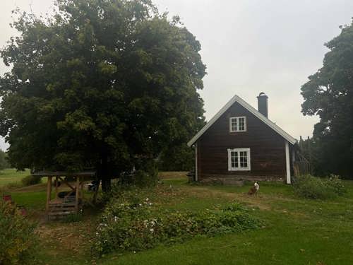 Torp