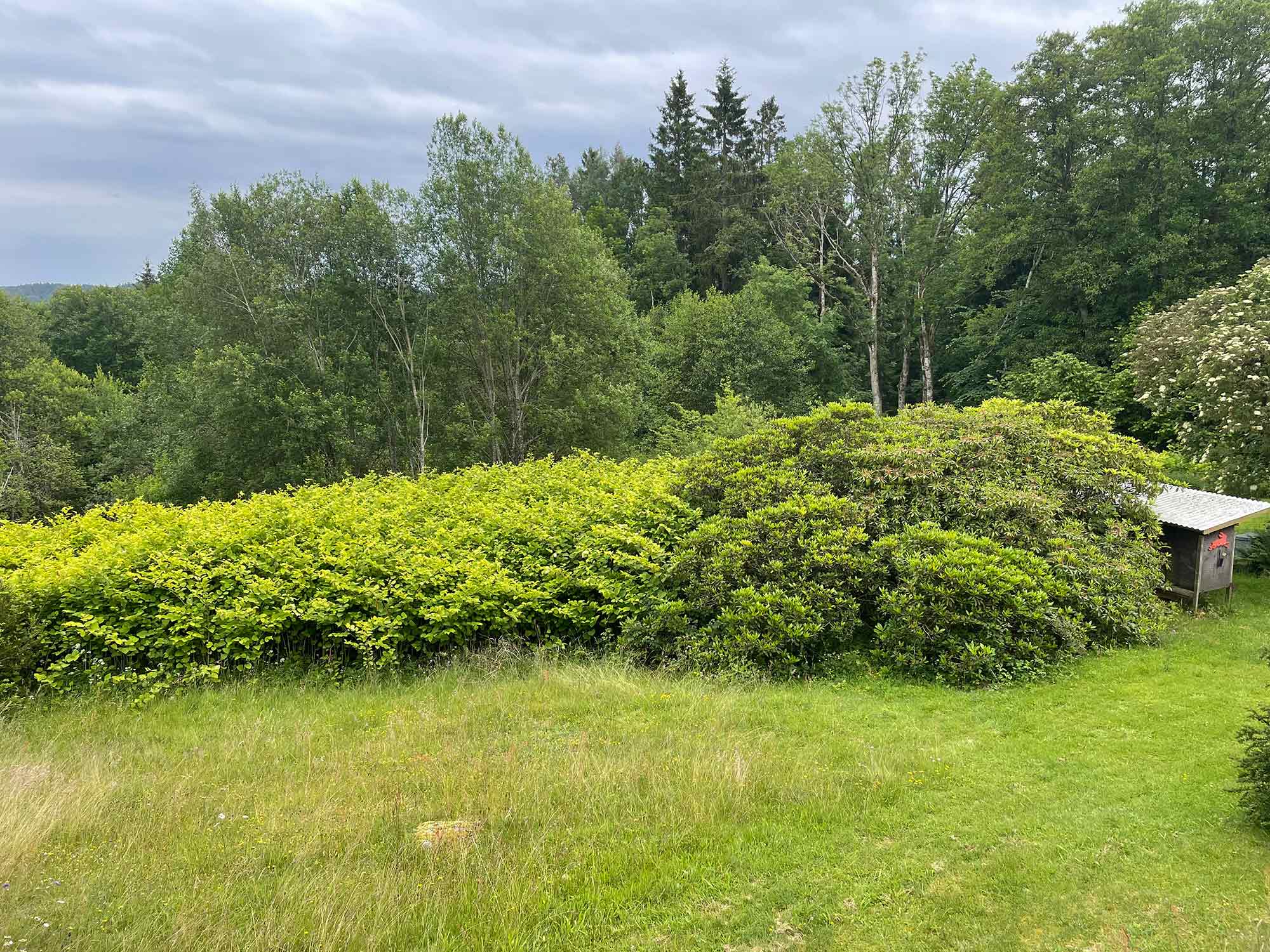 parkslide i trädgård